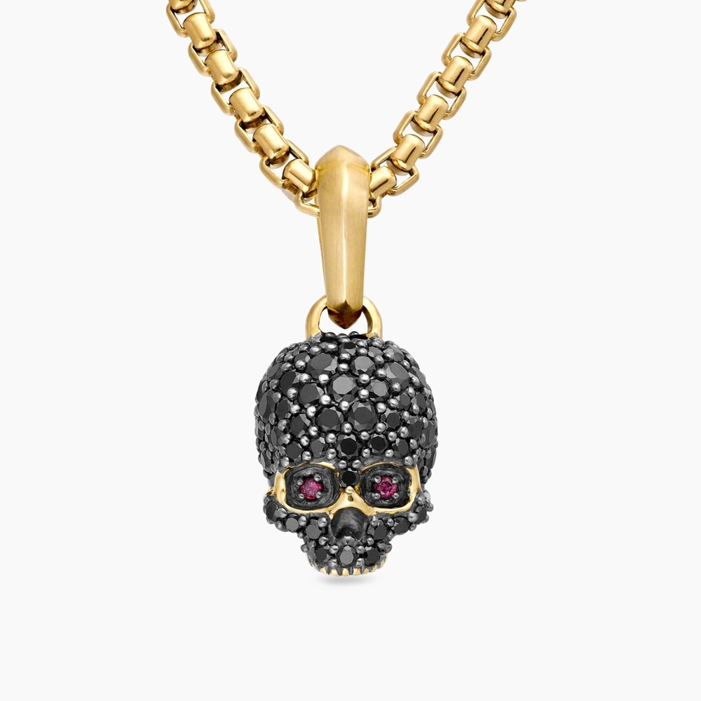 David Yurman chain AND David Yurman skull Amulet